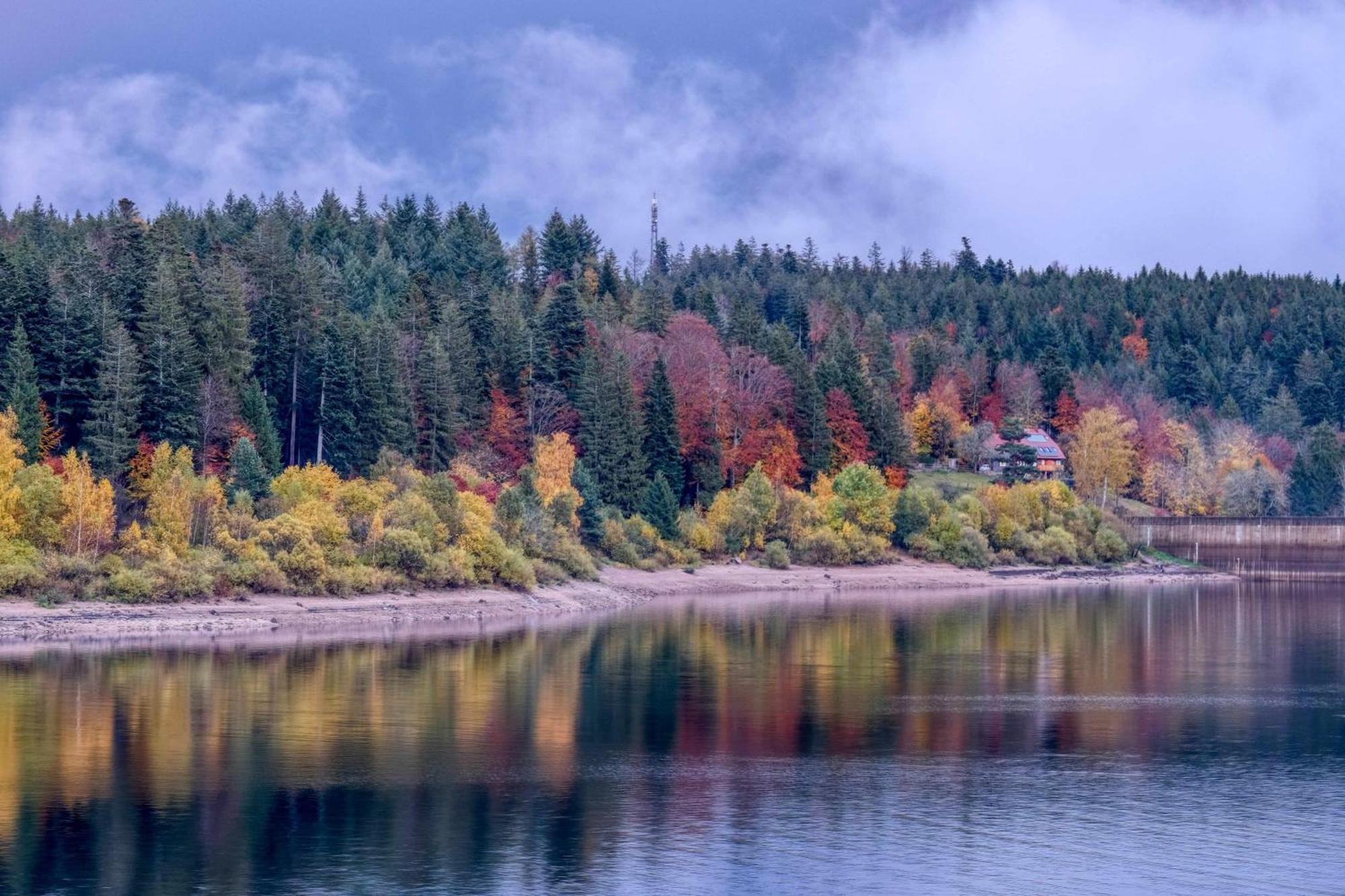 Zum Alten Waerterhaus Forbach Esterno foto